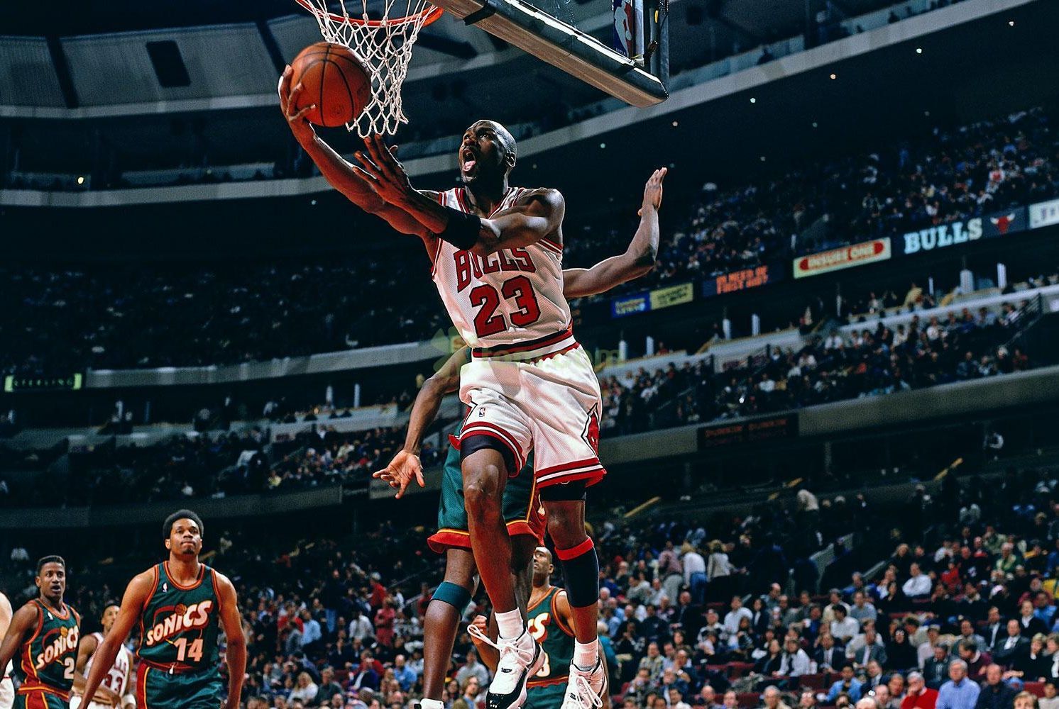 他帶領球隊 他帶領球隊