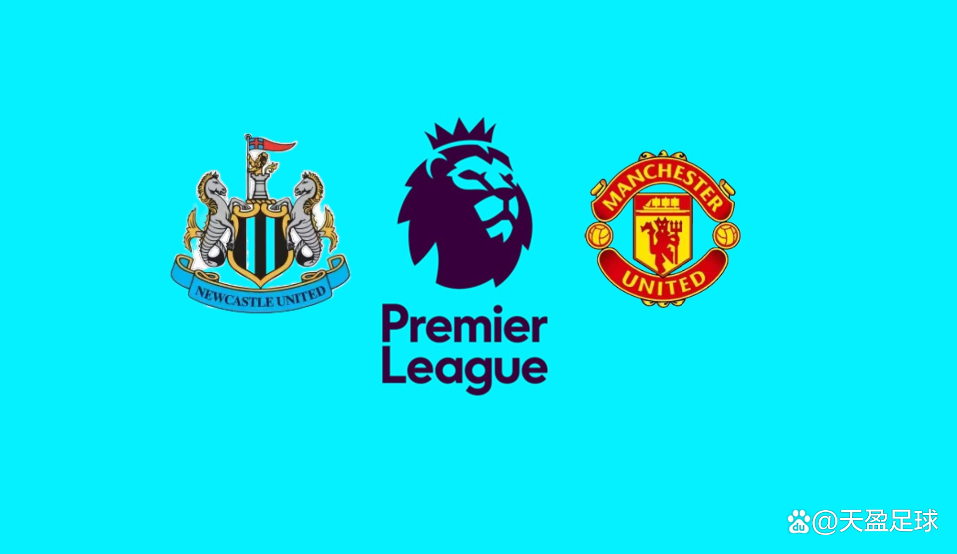 特别是在场 特别是在场