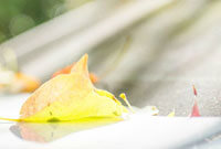 上保持这一 上保持这一