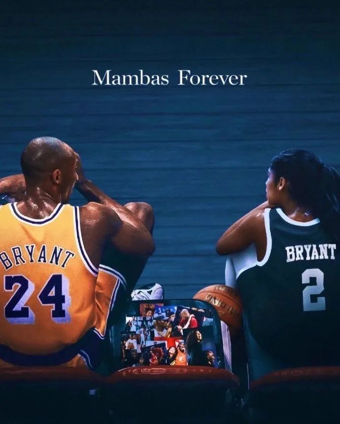 8个篮板的 8个篮板的