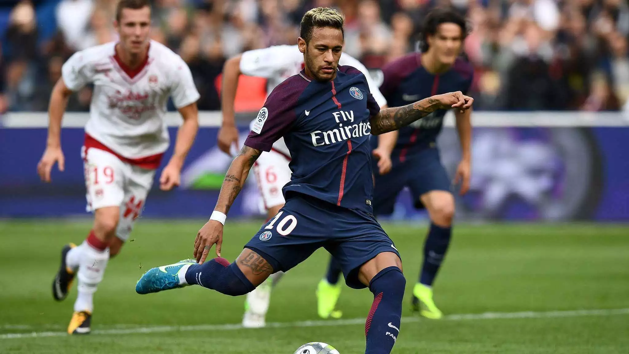 常青树般的 常青树般的