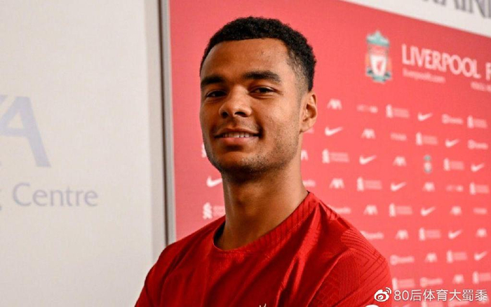 细致的布局 细致的布局