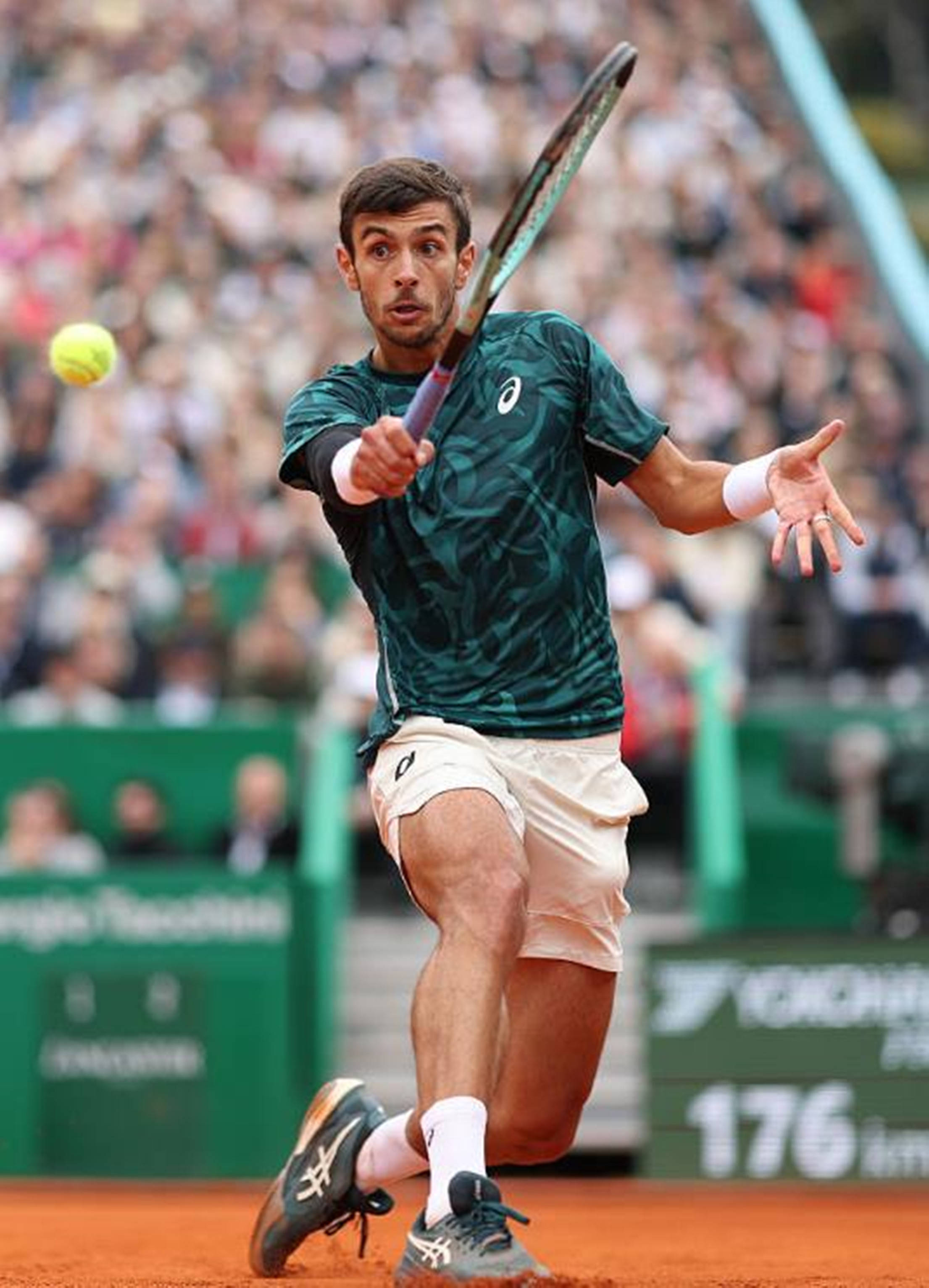 杨官璘与 杨官璘与