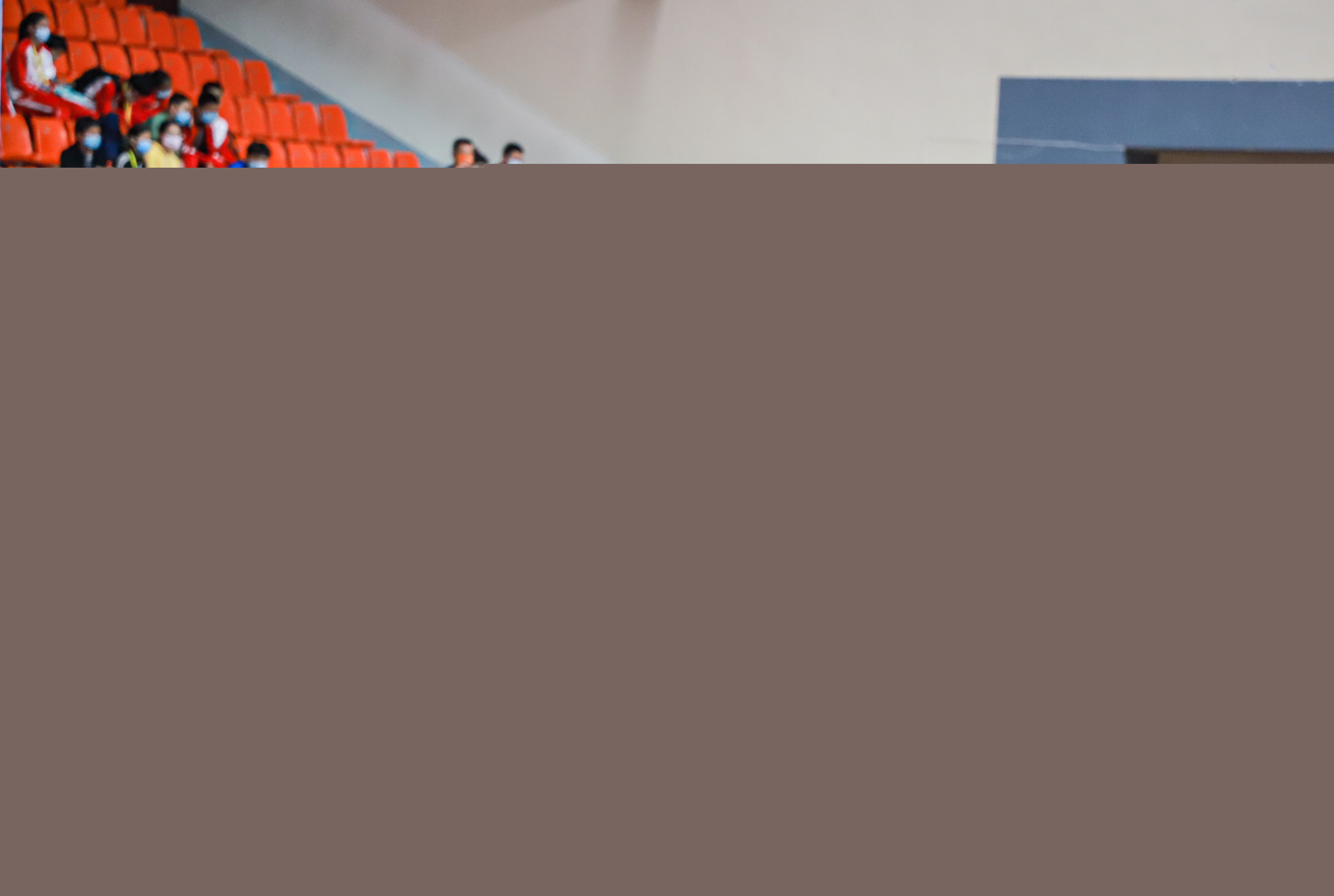 引进坎塞洛 引进坎塞洛