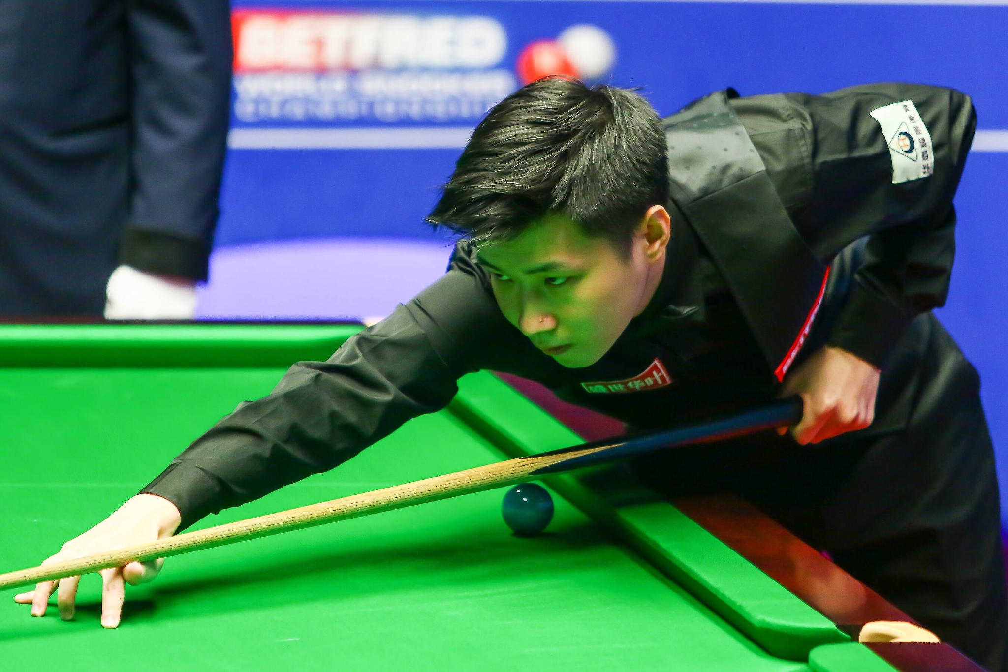 展示了回暖 展示了回暖