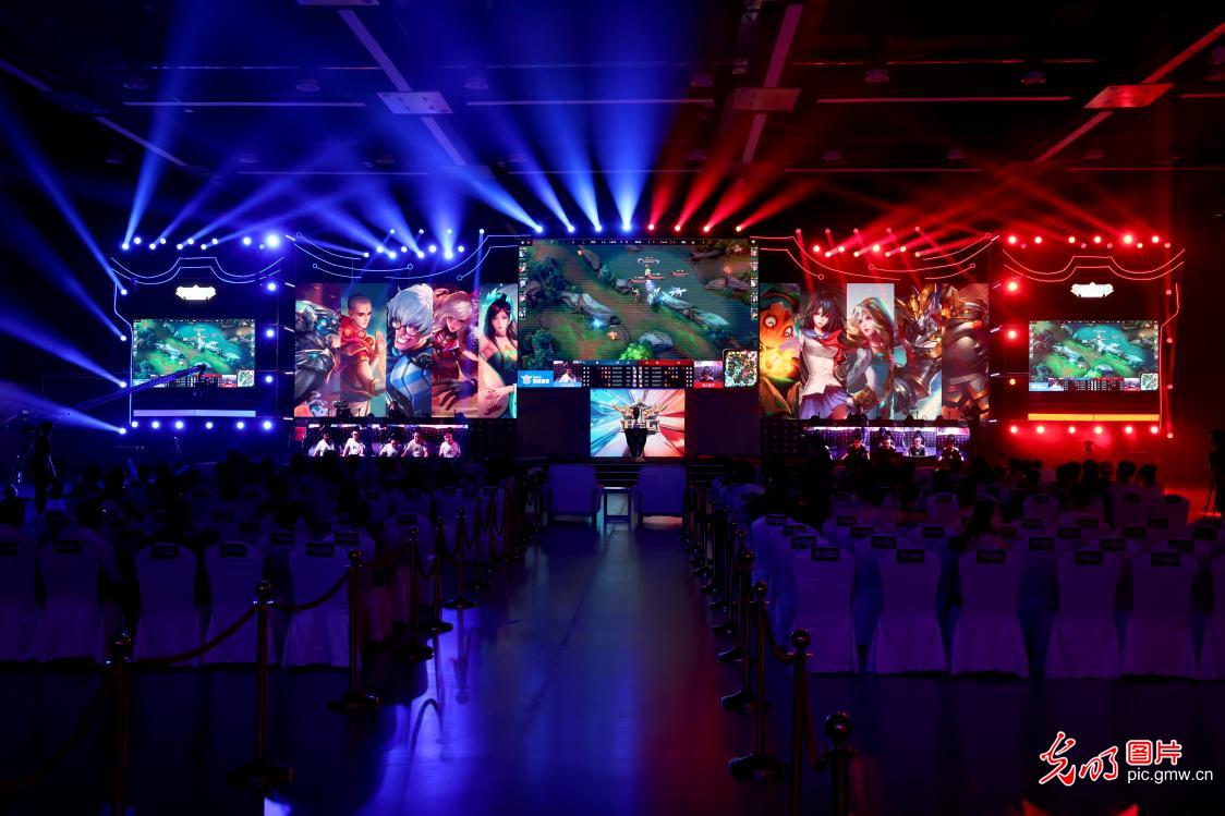 策略编织风 策略编织风