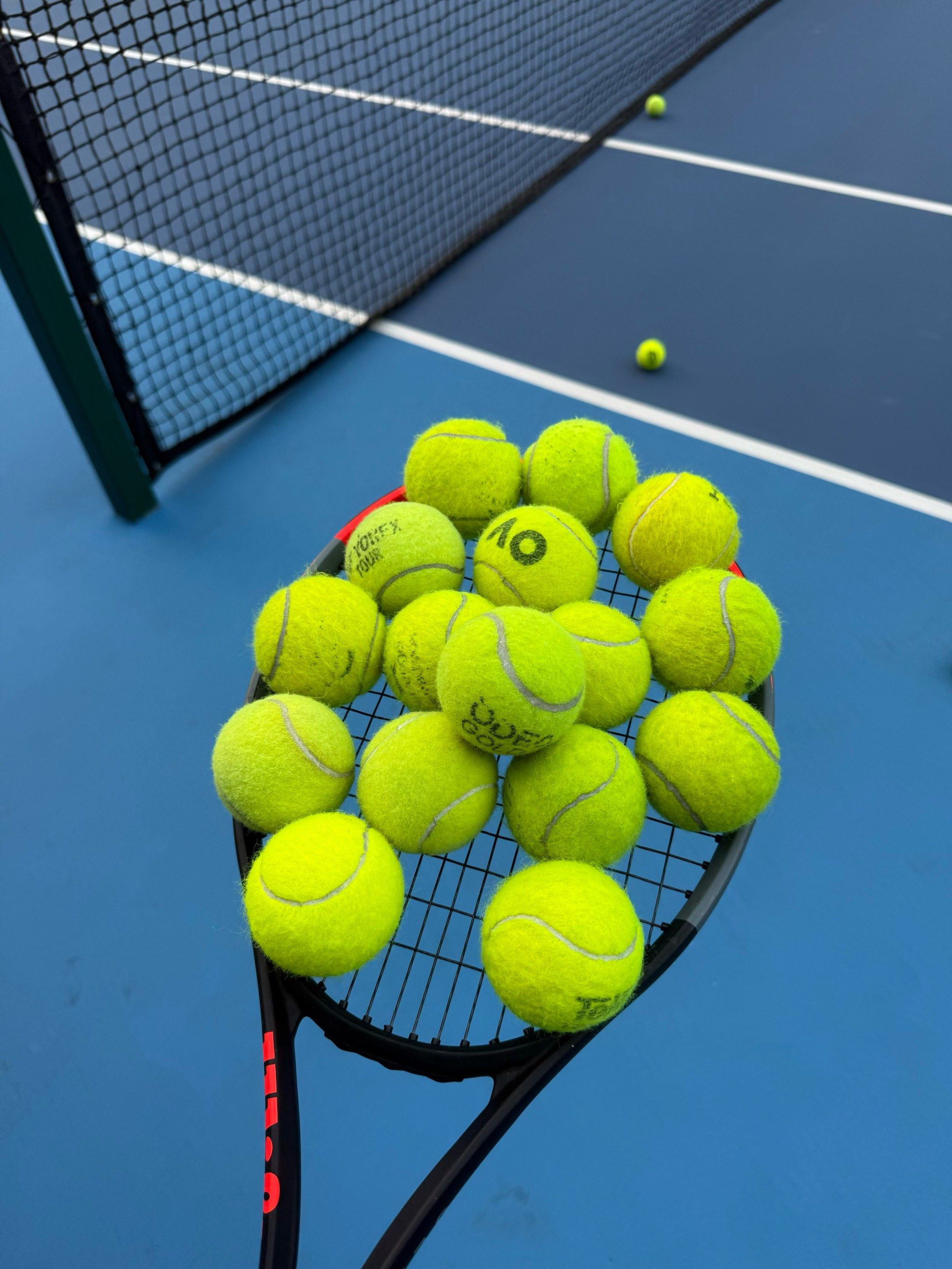 莱恩需要在 莱恩需要在